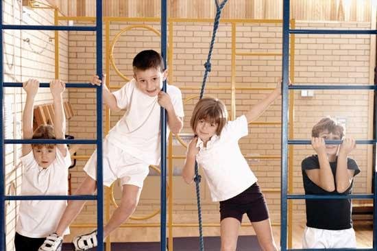 What do the health groups for children in physical education