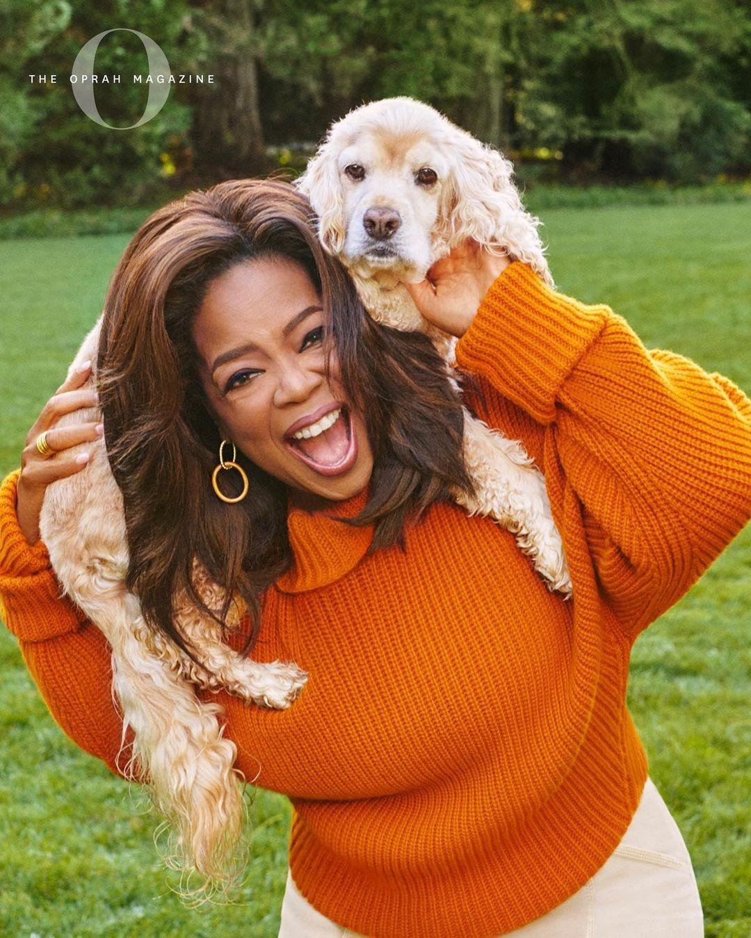 15 Oprah Winfrey rules that will energize you for success