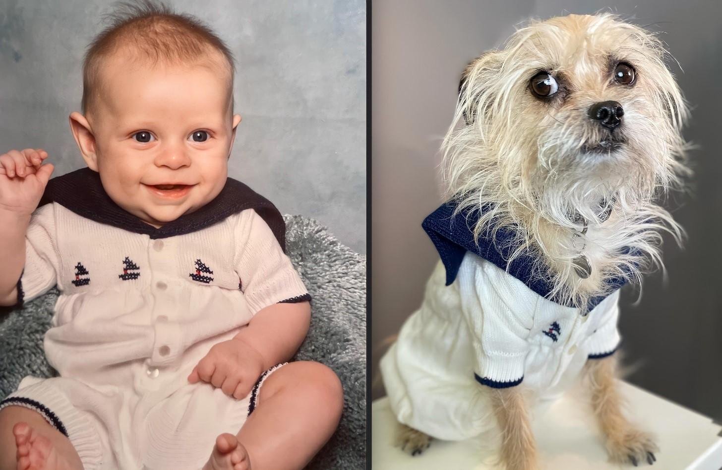 15 photos about love between children and pets