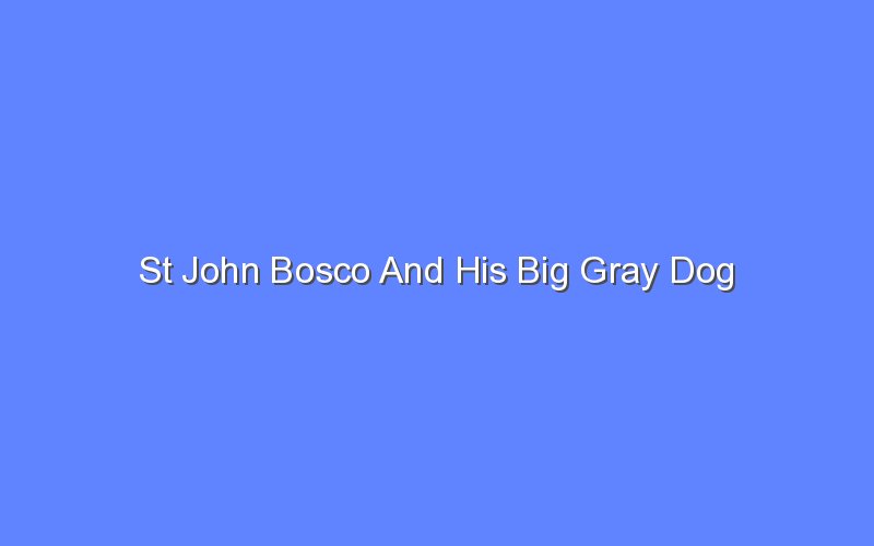 st john bosco and his big gray dog 12961