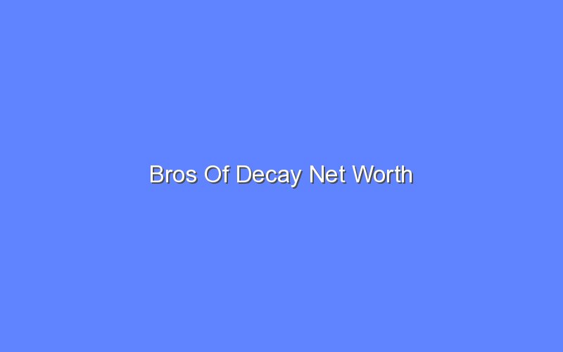 bros of decay net worth 14683 1