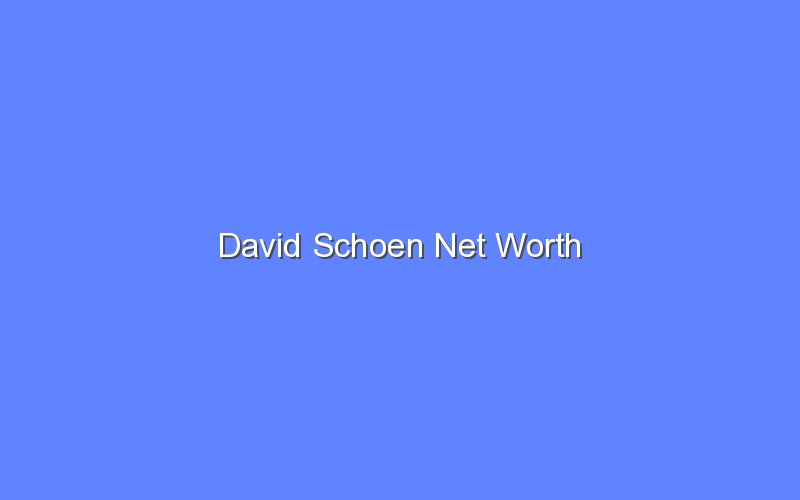 david schoen net worth 14746 1