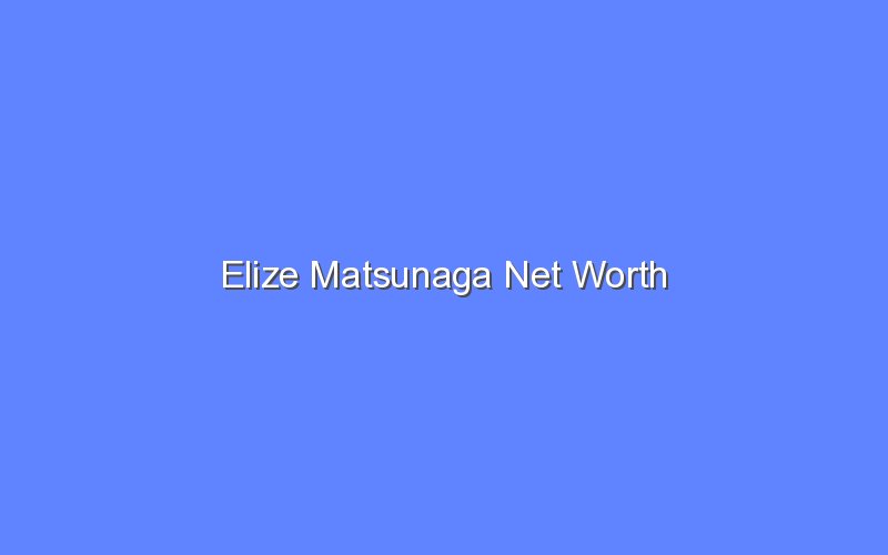 elize matsunaga net worth 14788 1