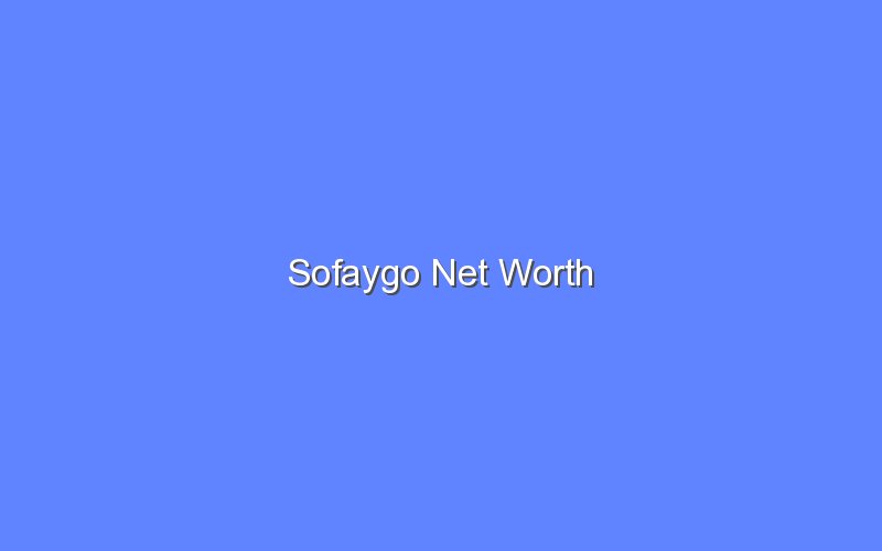 sofaygo net worth 14307 1