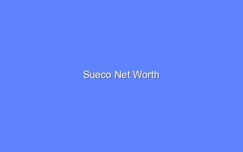 sueco net worth 14577 1