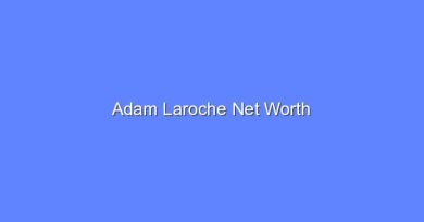 adam laroche net worth 19896 1