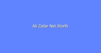 ali zafar net worth 19951 1