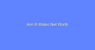 ann b mateo net worth 20010