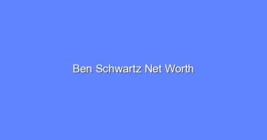 ben schwartz net worth 20124 1