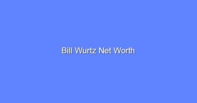 bill wurtz net worth 16282