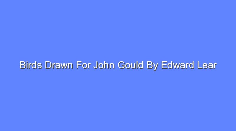 birds drawn for john gould by edward lear 11301
