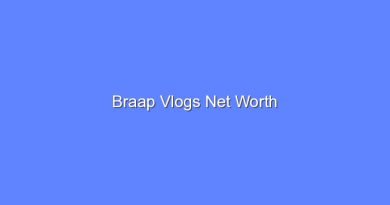 braap vlogs net worth 20187