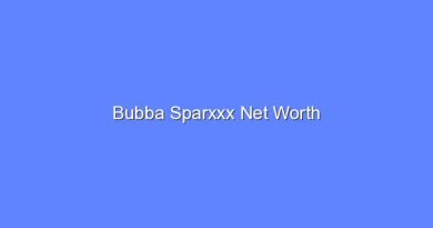bubba sparxxx net worth 15685