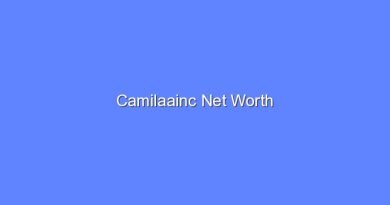 camilaainc net worth 20241