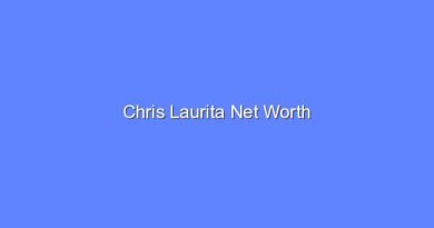 chris laurita net worth 16345