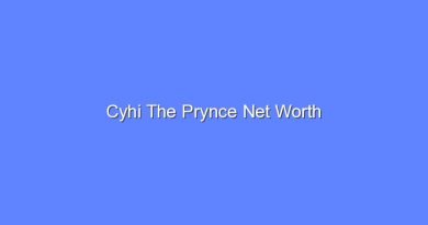 cyhi the prynce net worth 16383