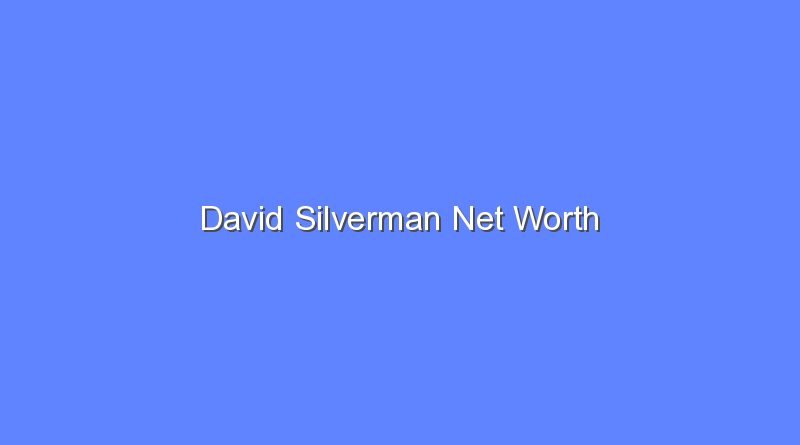 david silverman net worth 16417