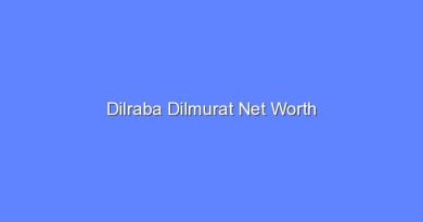 dilraba dilmurat net worth 15742