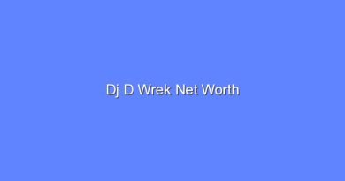 dj d wrek net worth 16480