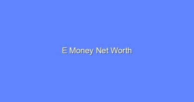 e money net worth 16489