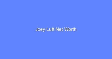 joey luft net worth 16637