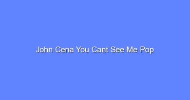 john cena you cant see me pop 8267