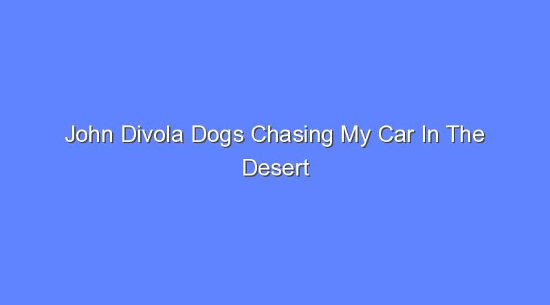john divola dogs chasing my car in the desert 10205