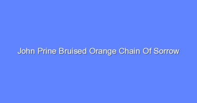 john prine bruised orange chain of sorrow 7732