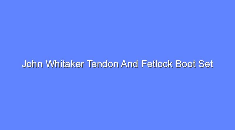 john whitaker tendon and fetlock boot set 12647