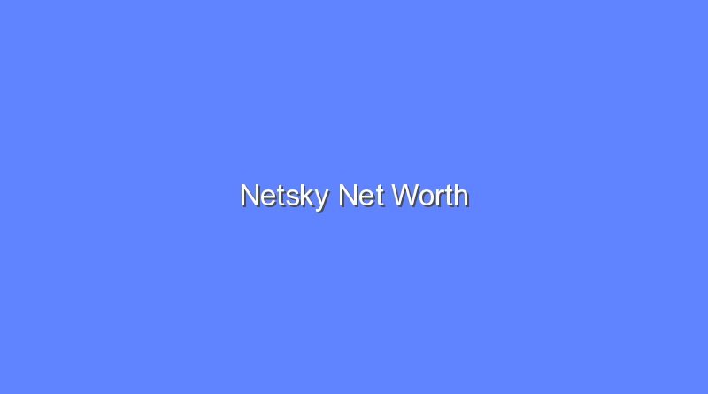 netsky net worth 16011
