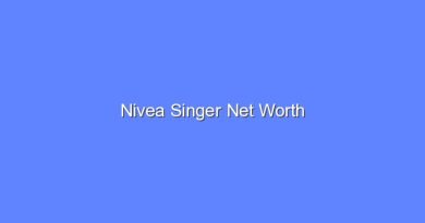 nivea singer net worth 16020