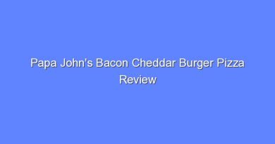papa johns bacon cheddar burger pizza review 10751