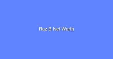 raz b net worth 16056