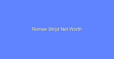 romee strijd net worth 16087