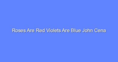 roses are red violets are blue john cena 10815