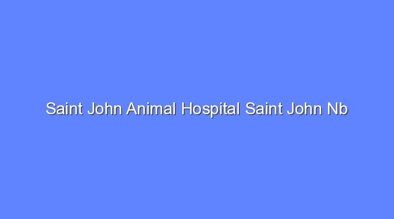 saint john animal hospital saint john nb 8961