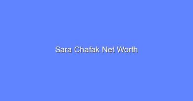 sara chafak net worth 16865