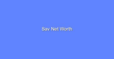 sav net worth 16861