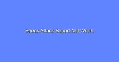 sneak attack squad net worth 19457 1