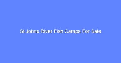 st johns river fish camps for sale 7760