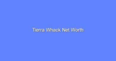 tierra whack net worth 16131