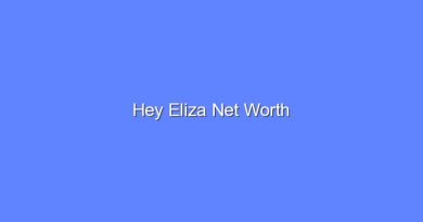 hey eliza net worth 20793