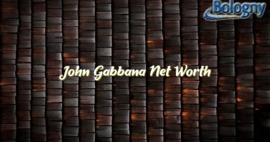 john gabbana net worth 20958