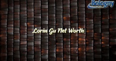 lorin gu net worth 21152