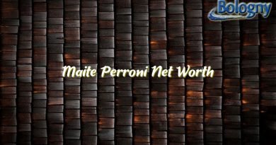 maite perroni net worth 21177