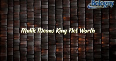 malik means king net worth 21181