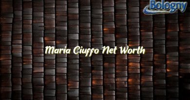 maria ciuffo net worth 21187
