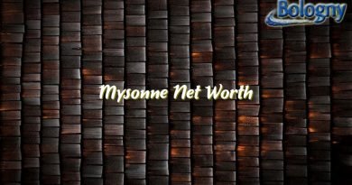 mysonne net worth 21295