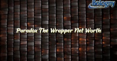 paradox the wrapper net worth 21962