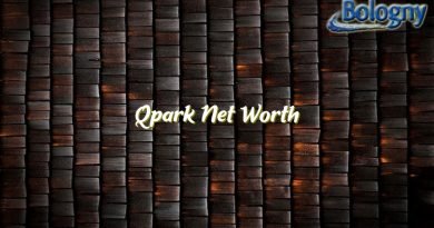 qpark net worth 21357